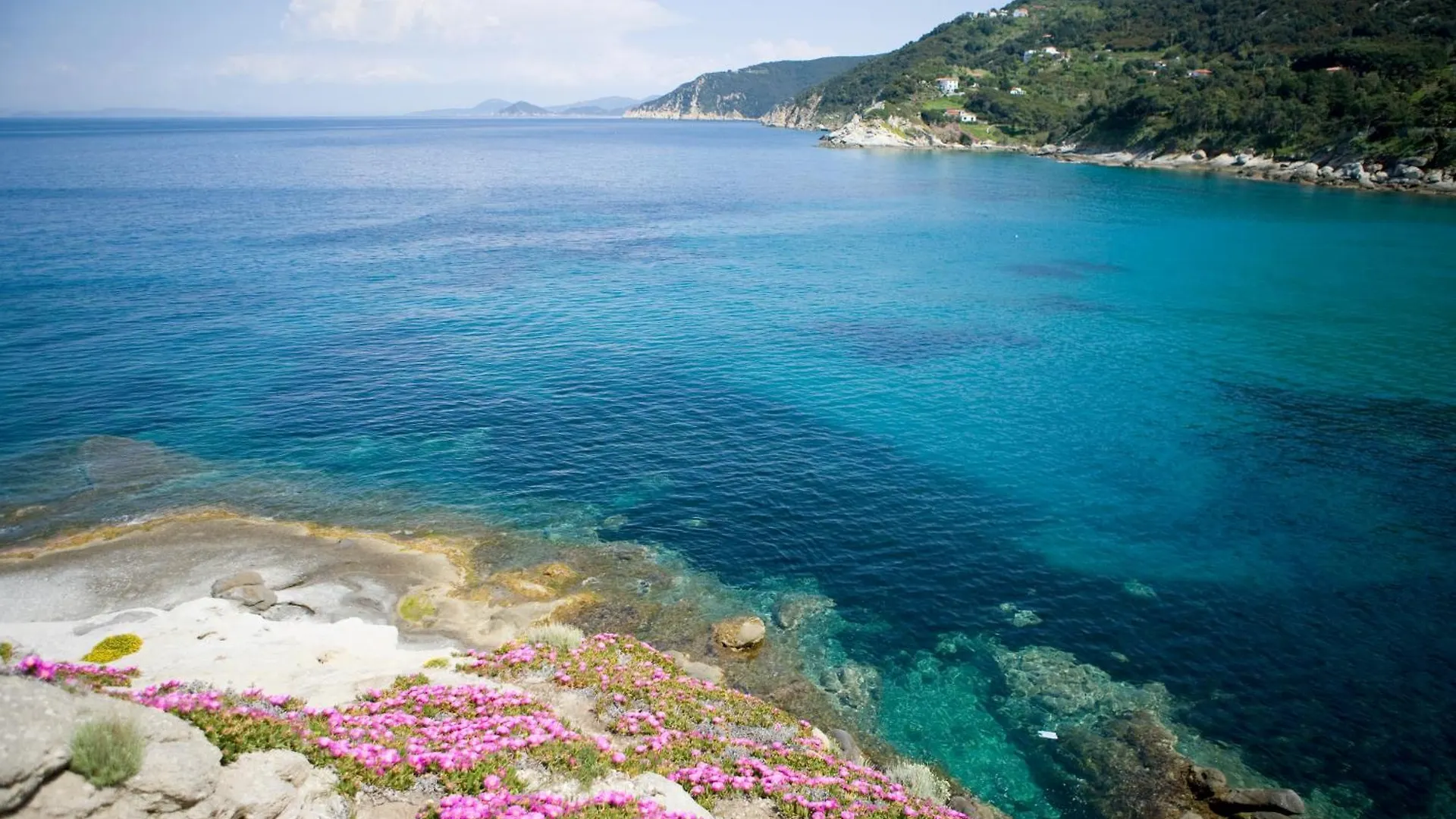 Hotel Gallo Nero SantʼAndrea إيطاليا