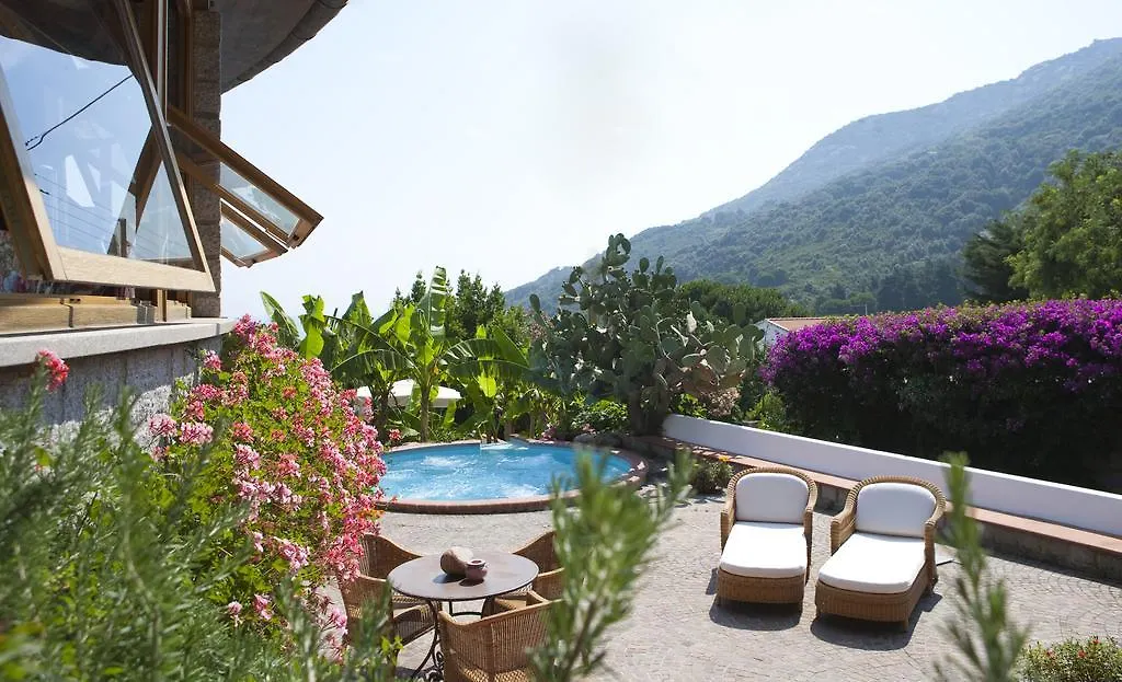 Hotel Gallo Nero SantʼAndrea