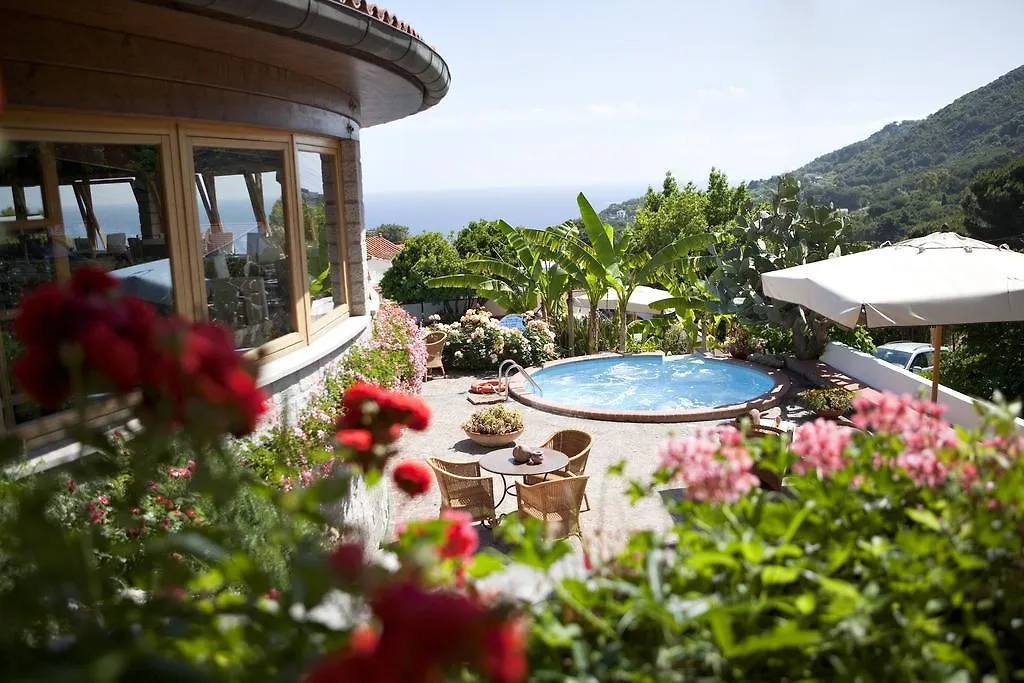 Hotel Gallo Nero SantʼAndrea 3*,  إيطاليا