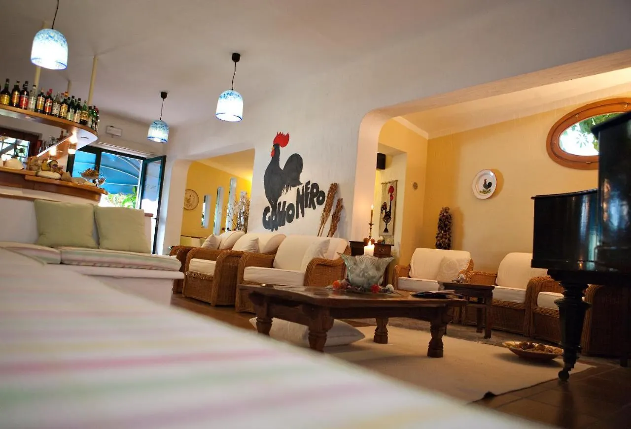 Hotel Gallo Nero SantʼAndrea
