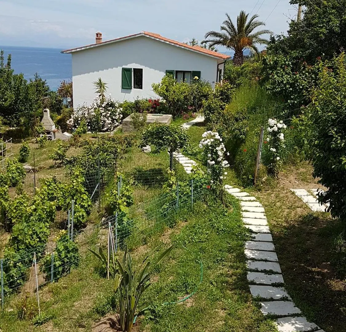 Hotel Gallo Nero SantʼAndrea
