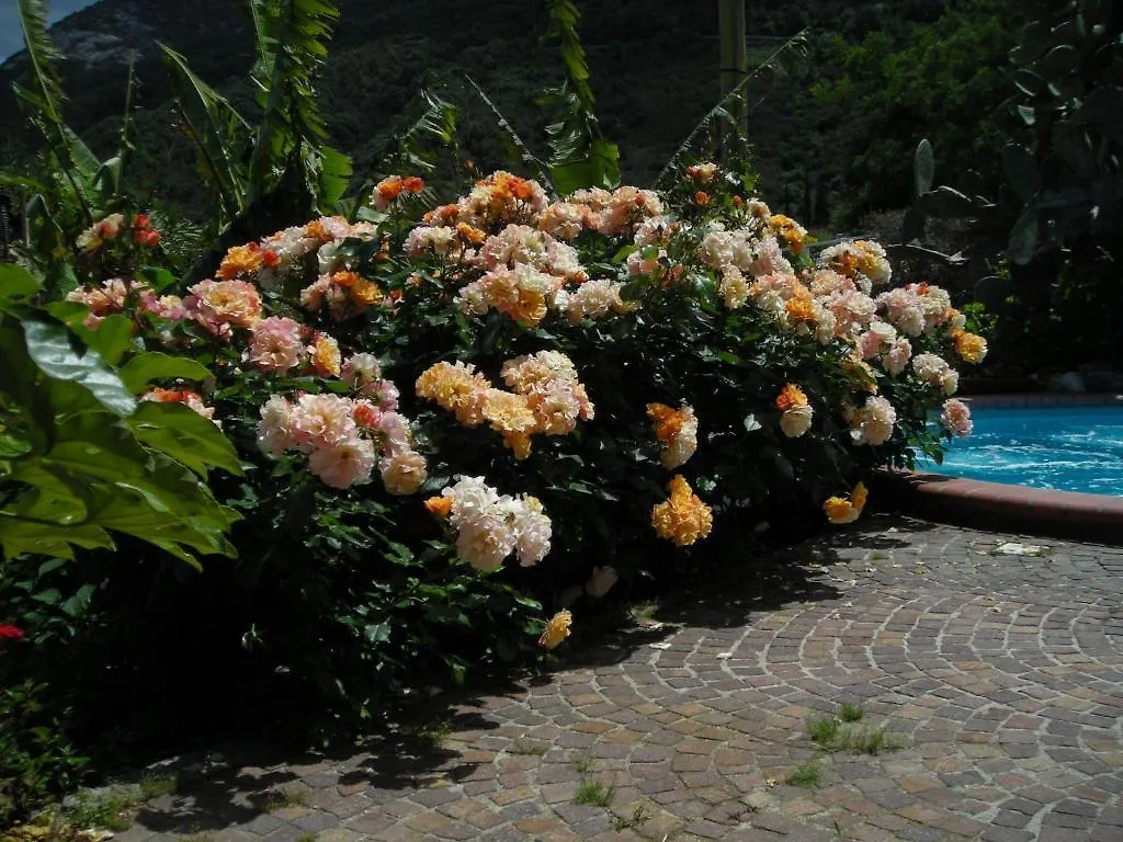 Hotel Gallo Nero SantʼAndrea Italië