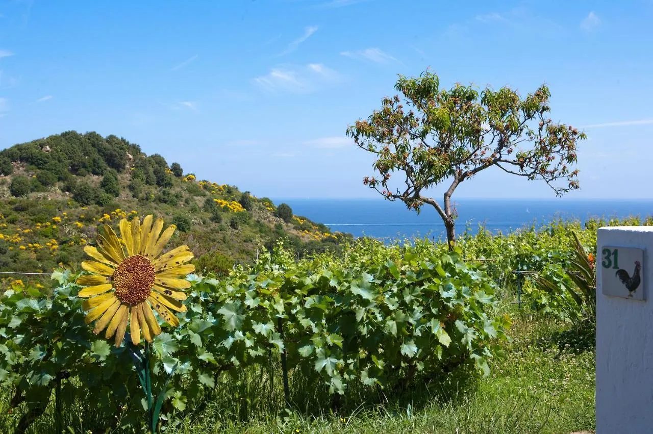 Hotel Gallo Nero SantʼAndrea 3*,