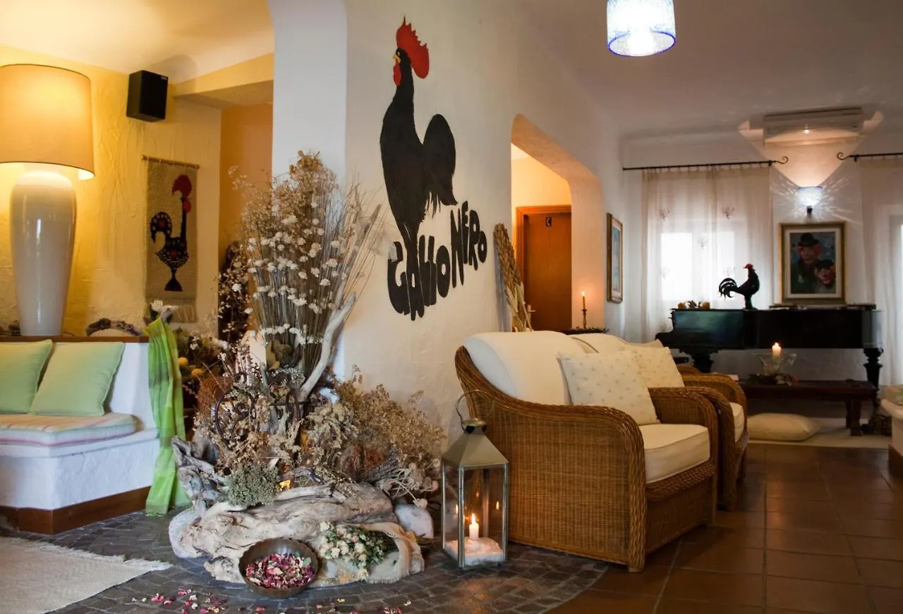Hotel Gallo Nero SantʼAndrea 3*,